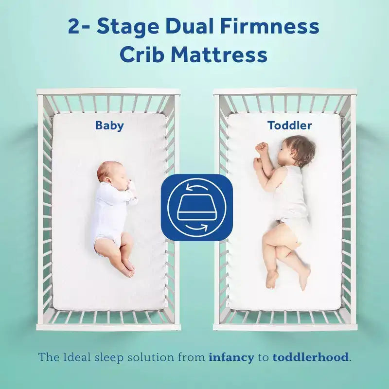 Materasso Sealy Cotton Cozy Rest a 2 stadi per culla e lettino: ipoallergenico, con rivestimento impermeabile, rigidità media, spessore 14 cm