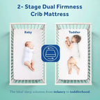 Materasso Sealy Cotton Cozy Rest a 2 stadi per culla e lettino: ipoallergenico, con rivestimento impermeabile, rigidità media, spessore 14 cm