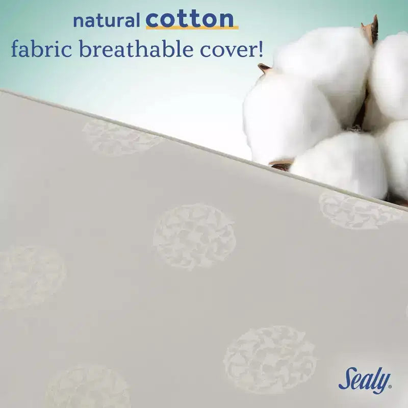 Materasso Sealy Cotton Cozy Rest a 2 stadi per culla e lettino: ipoallergenico, con rivestimento impermeabile, rigidità media, spessore 14 cm