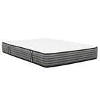 HomeStock Majestic 12 in. Pocket Coil Hybrid Mattress, Gray